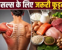Muscle Health: मसल्स मजबूत रखने के लिए डाइट में शामिल करें ये हेल्दी फूड्स, साथ में अपनाएं ये आदतें
