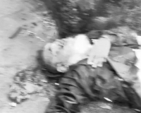 इंदौर में रफ्तार का कहर: बेकाबू इनोवा ने 5 वाहनों को मारी टक्कर, घायलों को 200 फीट तक घसीटने का आरोप