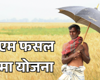 फसल बीमा का उलझा गणित: प्रीमियम भरने के बाद भी 'औसत' की भेंट चढ़ रहा मुआवजा, दो साल में 73 लाख किसानों ने किया किनारा