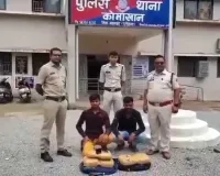 महासमुंद में गांजा तस्करों पर ‘ट्रिपल स्ट्राइक’! 3 मामलों में 60.920 किलो नशे की खेप जब्त, 6 आरोपी गिरफ्तार