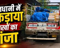 Raipur News: 191 किलो गांजा, ट्रक और दो तस्कर… रायपुर पुलिस ने तस्करी के बड़े नेटवर्क पर कसा शिकंजा