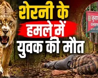 तखतपुर के जंगल में खौफनाक हमला: युवक पर शेरनी ने किया हमला, मौके पर मौत; शावक के साथ इलाके में मौजूदगी से बढ़ी दहशत
