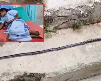 हॉस्टल में सो रही छात्राओं पर जहरीले सांप का हमला, 6 को डसा; 3 की मौत, 3 गंभीर, मचा हड़कंप 