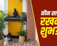 South West Direction: घर की दक्षिण-पश्चिम दिशा में कौन सा पौधा रखना माना जाता है शुभ? जानें नैऋत्य कोण से जुड़े वास्तु नियम