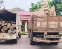 Balod News: सरपंच पति के ठिकाने पर वन विभाग की बड़ी रेड, सागौन-खम्हार की लकड़ी, फर्नीचर और मेटाडोर जब्त; जांच तेज
