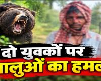 अचानक सामने आए 4 भालू और मच गई चीख-पुकार! एक युवक ने दौड़कर बचाई जान, दूसरा घायल