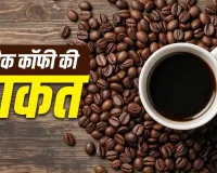 ब्लैक कॉफी को डाइट में कैसे करें शामिल? जानिए इसके फायदे, सही समय और पीने का तरीका