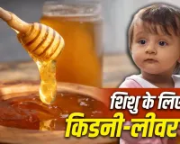 Baby Care Tips: 1 साल से छोटे बच्चे को शहद देना क्यों है खतरनाक? जानें क्या कहते हैं एक्सपर्ट
