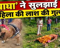 एक गंध, 500 मीटर का पीछा और फिर खुला राज… ‘बाघा’ ने पुलिस को पहुंचाया आरोपी के घर