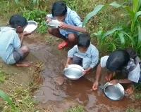 CG News: विकास के दावों के बीच मासूमों की प्यास का दर्द! स्कूल का हैंडपंप खराब, खेत-नाले का पानी पी रहे बच्चे