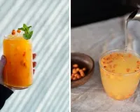 Sea Buckthorn Nutrition: पोषक तत्वों का पावरहाउस है सी बकथॉर्न, जानें इसमें कितने विटामिन-मिनरल और कैसे करें सेवन