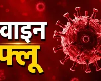 Chhattisgarh Swine Flu: प्रदेश में तेजी से बढ़ रहा H1N1 का दायरा, 7 नए केस से आंकड़ा 170 के करीब; रायपुर में 14 एक्टिव मरीज