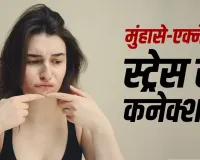 Stress and Acne: क्या ज्यादा तनाव लेने से चेहरे पर बढ़ जाते हैं पिंपल्स? जानें एक्ने और स्ट्रेस का साइंस