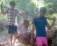 Aamcho Bastar: न सड़क, न एंबुलेंस! बीमार महिला को कांवड़ में अस्पताल ले जाने को मजबूर ग्रामीण, विकास के दावों पर सवाल