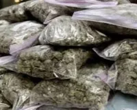 Raipur Crime News: पुलिस की सख्ती से बदला गांजा तस्करी का तरीका, अब घर तक डिलीवरी और कोड वर्ड का खेल!