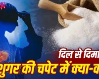 Health Tips: ज्यादा मीठा खाने से शरीर के इन अंगों पर पड़ सकता है असर, जानें किन बीमारियों का बढ़ता है खतरा