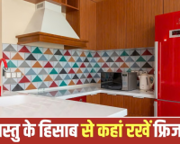 Vastu Tips For Kitchen: किचन में कहां रखें फ्रिज? इन दिशाओं को माना जाता है शुभ, जानें वास्तु के नियम