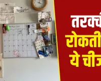 Vastu Tips: घर की दीवार पर लगा पुराना कैलेंडर बन सकता है रुकावट? जानें वास्तु में क्या है मान्यता