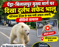 पेंड्रा-बिलासपुर मुख्य मार्ग पर दिखा दुर्लभ सफेद भालू, पटियाला हाउस के पास मची अफरा-तफरी; वीडियो वायरल