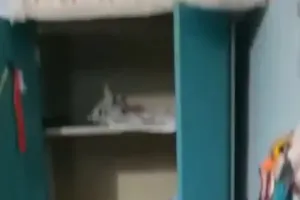 बिलासपुर: महावीर सिटी और गणेश वैली के सूने मकानों में बड़ी चोरी, लाखों के जेवर और नकदी ले उड़े चोर