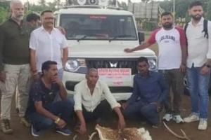 हिरण की खाल से तंत्र क्रिया करने वाले तस्कर का भंडाफोड़, तांत्रिक समेत तीन गिरफ्तार