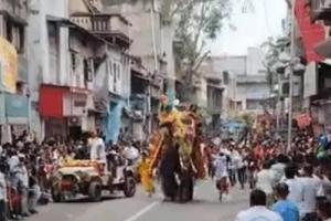 अहमदाबाद जगन्नाथ रथयात्रा में हाथी बेकाबू, वन विभाग के अमले ने किया काबू 