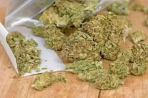 Chhattisgarh News: सारनाथ एक्सप्रेस में गांजा तस्करी कर रहे दो युवक गिरफ्तार, 8 किलो गांजा बरामद