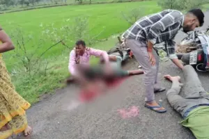 छत्तीसगढ़ में सड़क हादसे में 3 लोगों की मौत: रायपुर में खड़े ट्रक से जा टकराई बाइक, जांजगीर में स्कूटी-बाइक की भिड़ंत