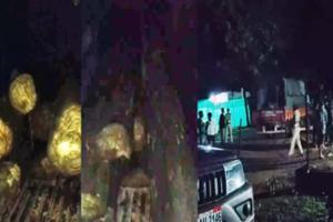 फ़िल्मी स्टाइल में रात के अंधेरे में पुलिस वाहन से सागौन लकड़ी ले जा रहे थे तस्कर, ग्रामीणों की सतर्कता से तस्करी का भंडाफोड़, फॉरेस्ट विभाग को सौंपा मामला, कड़ी कार्रवाई की मांग