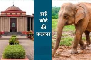 हाईकोर्ट की वन विभाग को फटकार: 20 हजार खुले गड्ढों पर माँगा जवाब, हाथी मौतों पर नाराजगी