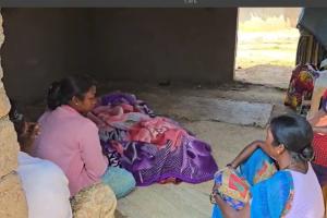 जशपुर में हाथी का आतंक: रिहायशी इलाके में घुसा, बुजुर्ग महिला की मौत और बच्ची घायल