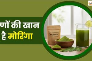मोरिंगा की पत्तियों को ऐसे करेंगे इस्तेमाल, तो कुछ ही दिनों में मोम की तरह पिघलेगी पेट की चर्बी