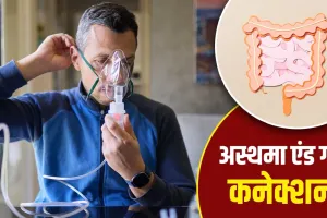 अस्थमा से केवल सांस नहीं उखड़ती, पेट को भी होता है नुकसान, डॉक्टर ने बताए बचने के उपाय
