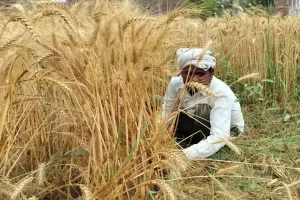 इस राज्य में 3 साल में 2800 किसानों ने की आत्महत्या, सरकार ने विधानसभा में पेश किए आंकड़े