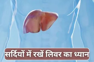 Best Foods for Healthy Liver: लिवर हेल्थ के लिए सर्दियों में क्या खाएं, डॉक्टर से जान लीजिए