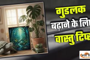 Vastu Tips: वास्तु के मुताबिक घर में रखें ये चीजें, सुंदरता के साथ बढ़ेगा गुडलक
