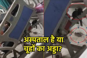 स्वास्थ्य विभाग की खुली पोल: ICU में मरीजों के बीच चूहों का धमाल