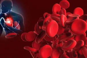 सर्दियों में क्यों नसों में जमने लगता है खून, क्या इससे बढ़ सकता है हार्ट अटैक का खतरा?