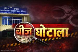 मक्का बीज खरीदी में बड़ा खेल: सीजन बीतने के बाद गुजरात की फर्जी कंपनी को सवा सौ क्विंटल ज्यादा का ऑर्डर