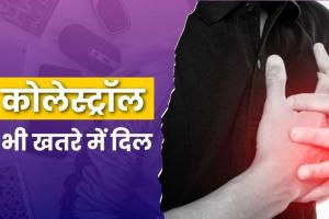 कोलेस्ट्रॉल नॉर्मल है तो भी 'सेफ' नहीं है आपका दिल! सर्दियों में 4 कारण बन सकते हैं हार्ट अटैक की वजह