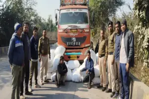 महासमुंद में नशे के सौदागरों पर बड़ी चोट: ट्रक से 4.75 करोड़ का गांजा जब्त, 12 दिन में पकड़ी गई दूसरी मेगा खेप