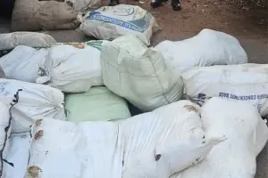 CG NEWS: तिल्दा में गांजा तस्करी का भंडाफोड़, मधु मिश्रा गिरफ्तार, घर की सरप्राइज चेकिंग में 36 लाख का गांजा, नशीली गोलियां, हथियार और नकदी जब्त