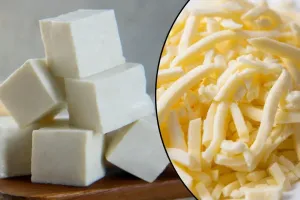 Paneer vs Cheese: पनीर से क्यों बेहतर है Cheese ? एक्सपर्ट ने बताया, जानें
