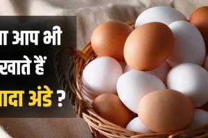 सेहत बनाने के चक्कर में कहीं आप भी तो नहीं खा रहे ज्यादा अंडे? पढ़ें इसके 4 भारी नुकसान