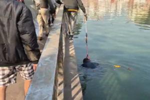 Raipur News: कंकाली तालाब में मिला अज्ञात शव, 3 दिन पुराना होने की आशंका, इलाके में सनसनी