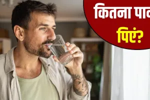 सुबह खाली पेट कितना पानी पीना चाहिए? एक्सपर्ट से जानें