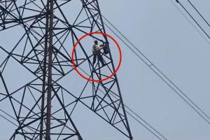 जमीन पर कब्जे का आरोप… किसान ने उठाया खतरनाक कदम, बिजली टावर पर चढ़कर किया विरोध, देखे वीडियो  