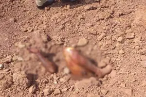 Raipur Murder Mystery: जमीन में दफन मिला युवक का शव, रायपुर में सनसनी, ऐसे हुई पहचान