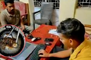 CG Breaking: रिसॉर्ट में पक रहा था हिरण का मांस! वन विभाग की रेड में बड़ा खुलासा