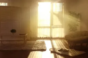 Sunlight Vastu: घर में सूर्य की रोशनी आना शुभ? लेकिन दक्षिण से आना कितना अशुभ